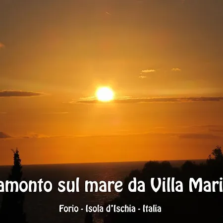 Marinu Apart-hotel Forio di Ischia