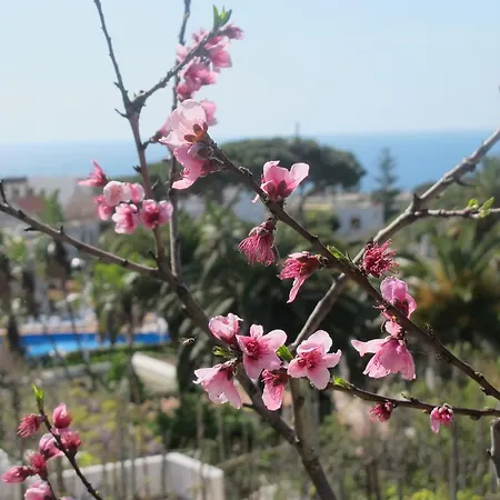 Marinu Aparthotel Forio (Isola d'Ischia)