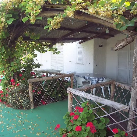 Marinu Forio (Isola d'Ischia)