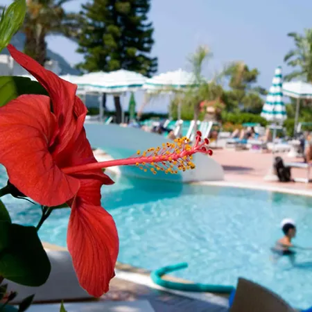 Marinu Aparthotel Forio (Isola d'Ischia)