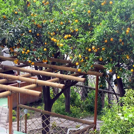 Marinu Aparthotel