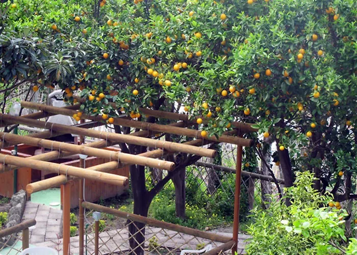 Marinu 公寓式酒店