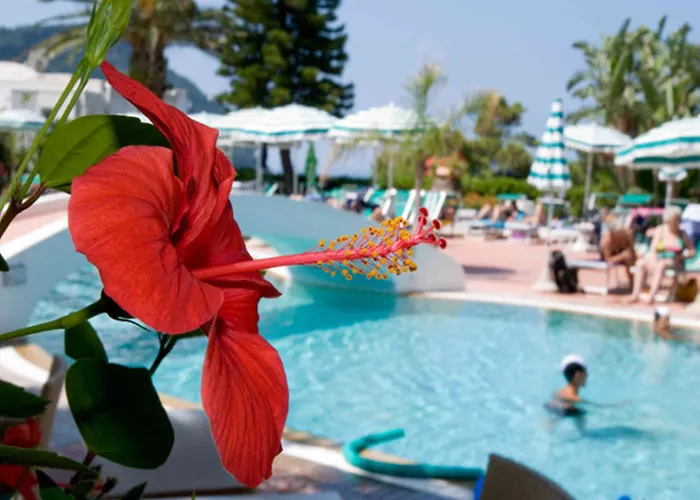 Marinu Aparthotel Forio (Isola d'Ischia)